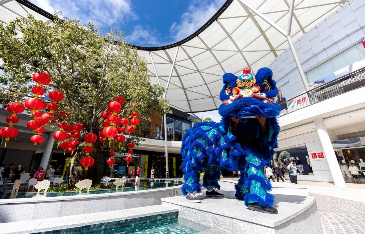 Lion Dance Performances